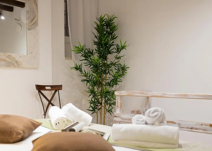 Sofia Vii Coorte Rom