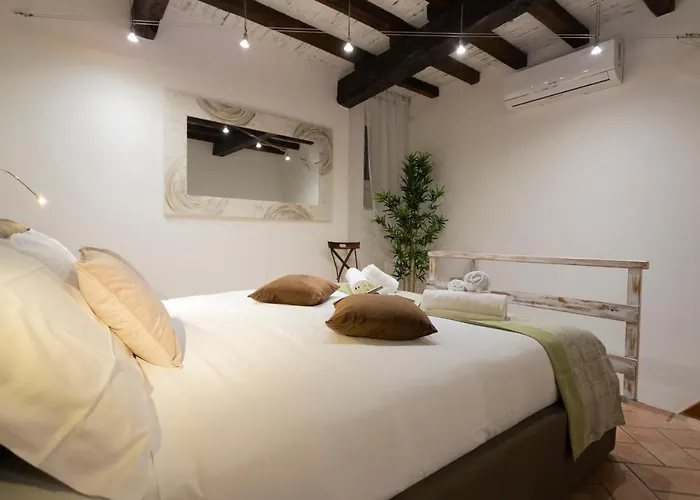 Sofia Vii Coorte Rom