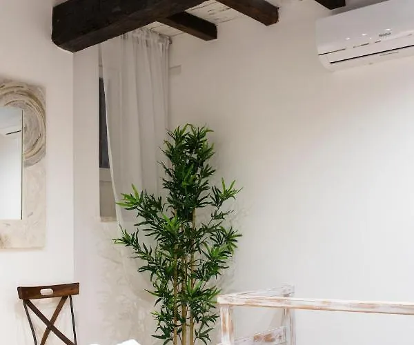 Apartment Sofia Vii Coorte